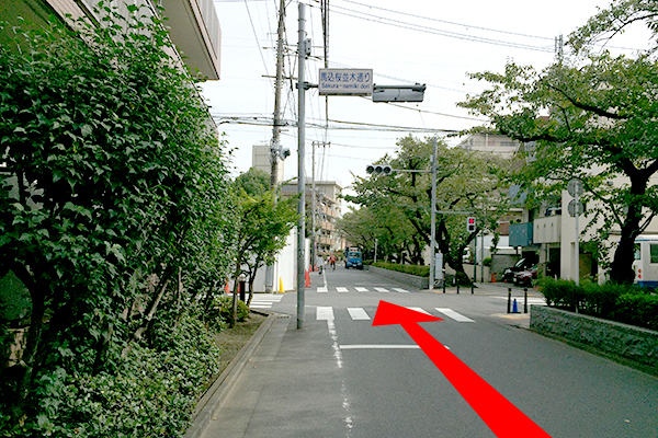 ⑧
